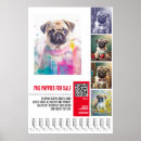 Buscar pastores alemanes posters Perros