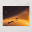 Buscar namibia postales Parque nacional namib naukluft