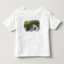 Buscar pull camisetas Negro