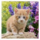 Buscar foto de la flor azulejos Para ella