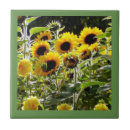 Buscar cucharas azulejos Para ella