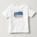 Buscar cozumel méxico camisetas Isla