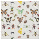 Buscar libélula telas Mariposa