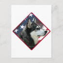 Buscar malamute de alaska postales Perro