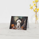 Buscar frise del bichon tarjetas General y unisex