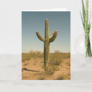 Buscar árido tarjetas Desierto