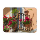 Buscar sicilia imanes Walter bibibikow