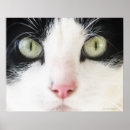 Buscar el mirar fijamente posters Horizontal