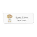 Buscar champagne etiquetas General y unisex
