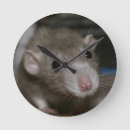 Buscar rata relojes de pared Animal