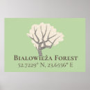 Buscar polonia posters Bosque