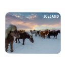 Buscar islandia imanes Viajes
