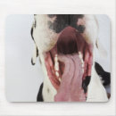 Buscar great dane electronica Vertical