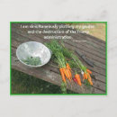 Buscar zanahoria postales General y unisex