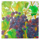 Buscar uvas azulejos 8 º fruta