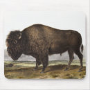 Buscar búfalo americano alfombrillas de raton Vida silvestre