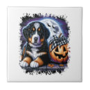 Buscar weimaraner azulejos Animal