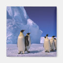 Buscar pete imanes Hielo