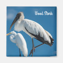 Buscar stork imanes Naturaleza