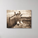 Buscar burro arte General y unisex