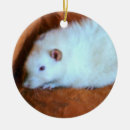 Buscar amo ratas Blanco