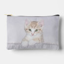 Buscar kitten accesorios Gatito