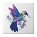 Buscar colibrí azulejos Pájaros