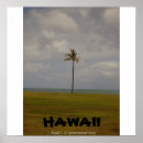 Buscar zonas tropicales posters Viaje