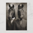 Buscar caballo blanco y negro postales Equino