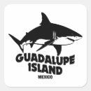 Buscar submarinismo pegatinas Tiburones