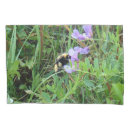 Buscar polinización Fotografía de naturaleza
