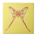 Buscar insect azulejos Para niños