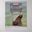 Buscar ursus posters Alaska