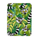 Buscar primate imanes Jungla