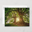 Buscar puesta del sol hermosa postales Escénico