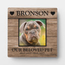 Buscar photo mascotas Foto