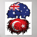 Buscar bandera de turquía posters Turco