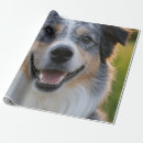 Buscar mascotas papel de regalo Para mascotas