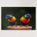 Buscar loros puzzles Animales