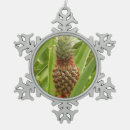 Buscar piña tropical adornos 8 º fruta