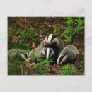 Buscar distintivo postales General y unisex