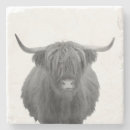Buscar escocia posavasos Vaca