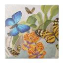 Buscar orquídea azulejos Pintura