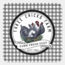 Buscar coop postales Huevos frescos