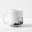 Buscar antártico tazas Nieve