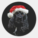 Buscar cocker pegatinas Navidades