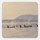 Buscar san marino pegatinas Vida silvestre