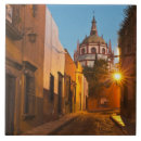 Buscar san miguel de allende azulejos Mexico