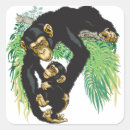 Buscar chimpancé pegatinas Primate