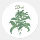 Buscar hierba verde pegatinas General y unisex
